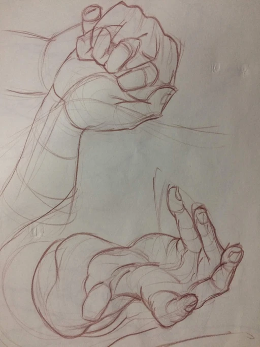 A sketchbook page of hand studies in sepia pencil