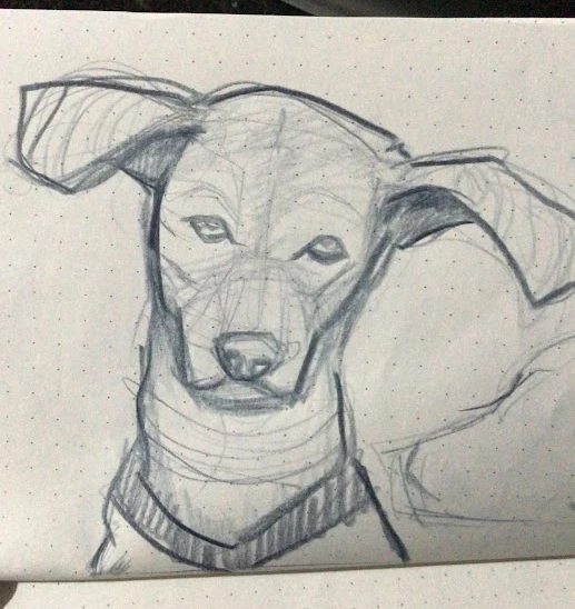 A pencil sketch of a dog, ears out